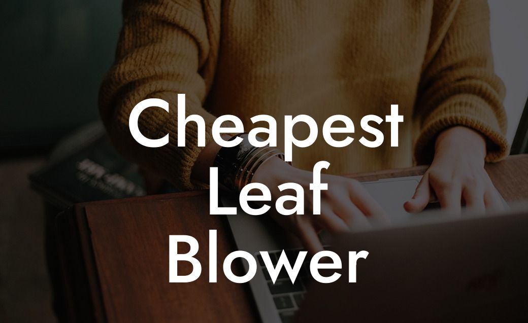 Cheapest Leaf Blower