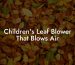 Children's Leaf Blower That Blows Air