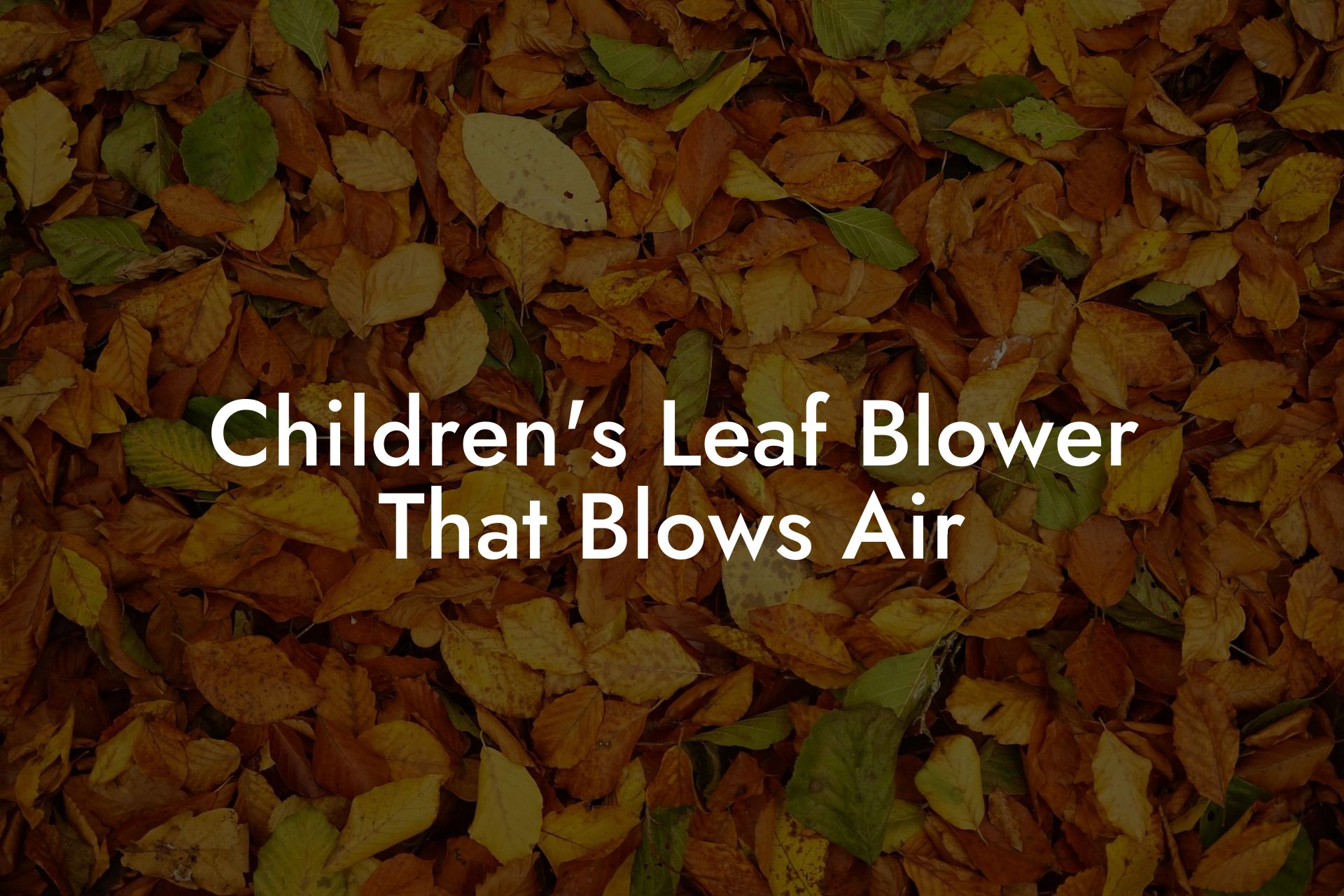 Children's Leaf Blower That Blows Air