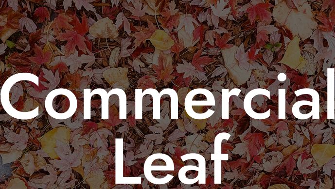 Commercial Leaf Blower