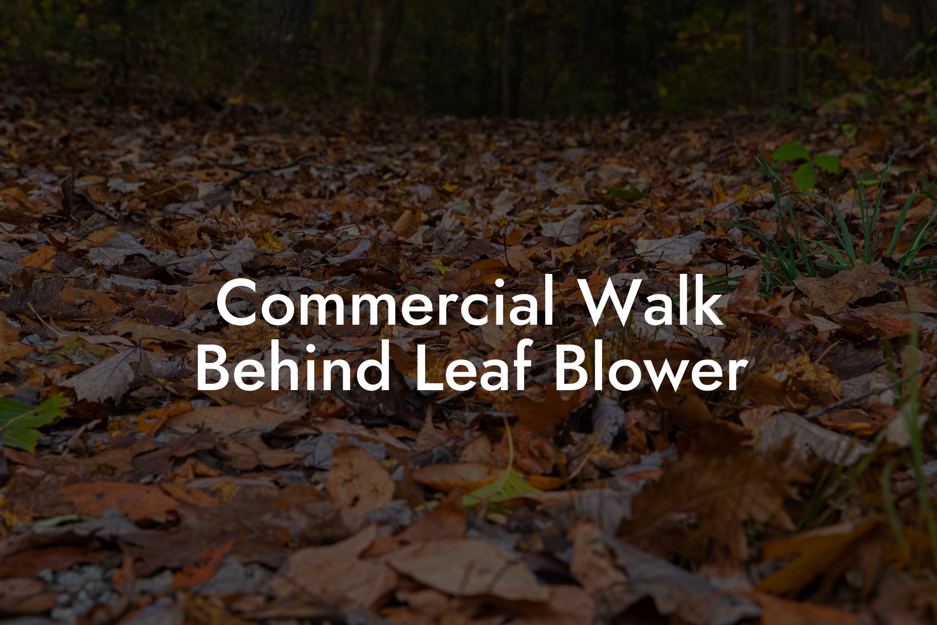 Commercial Walk Behind Leaf Blower