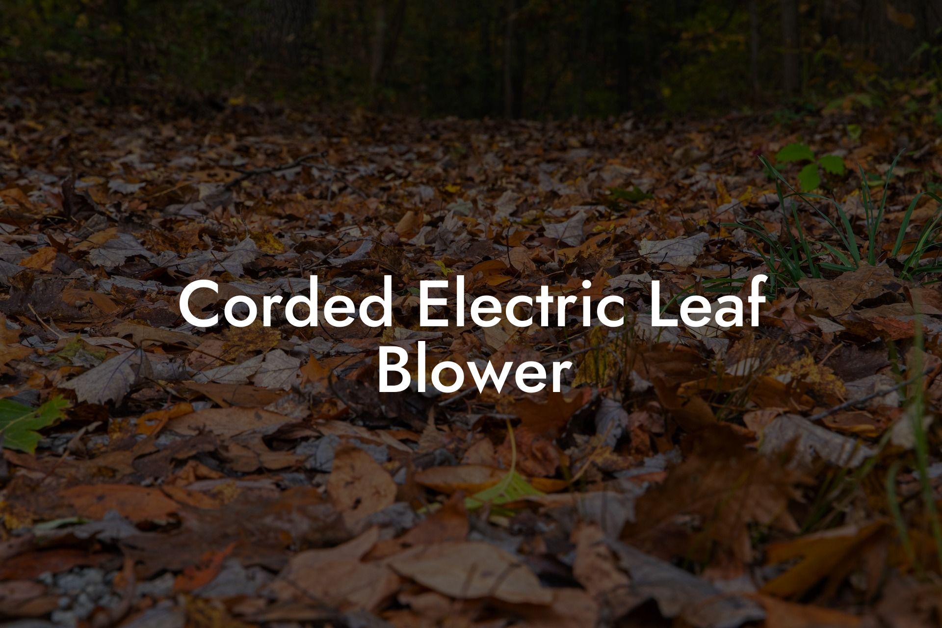 Corded Electric Leaf Blower