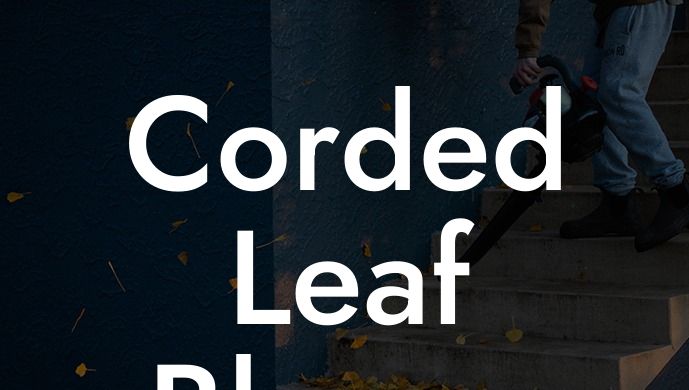 Corded Leaf Blower Reviews