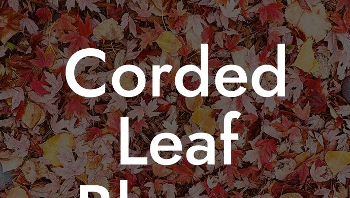 Corded Leaf Blower Vacuum