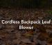 Cordless Backpack Leaf Blower