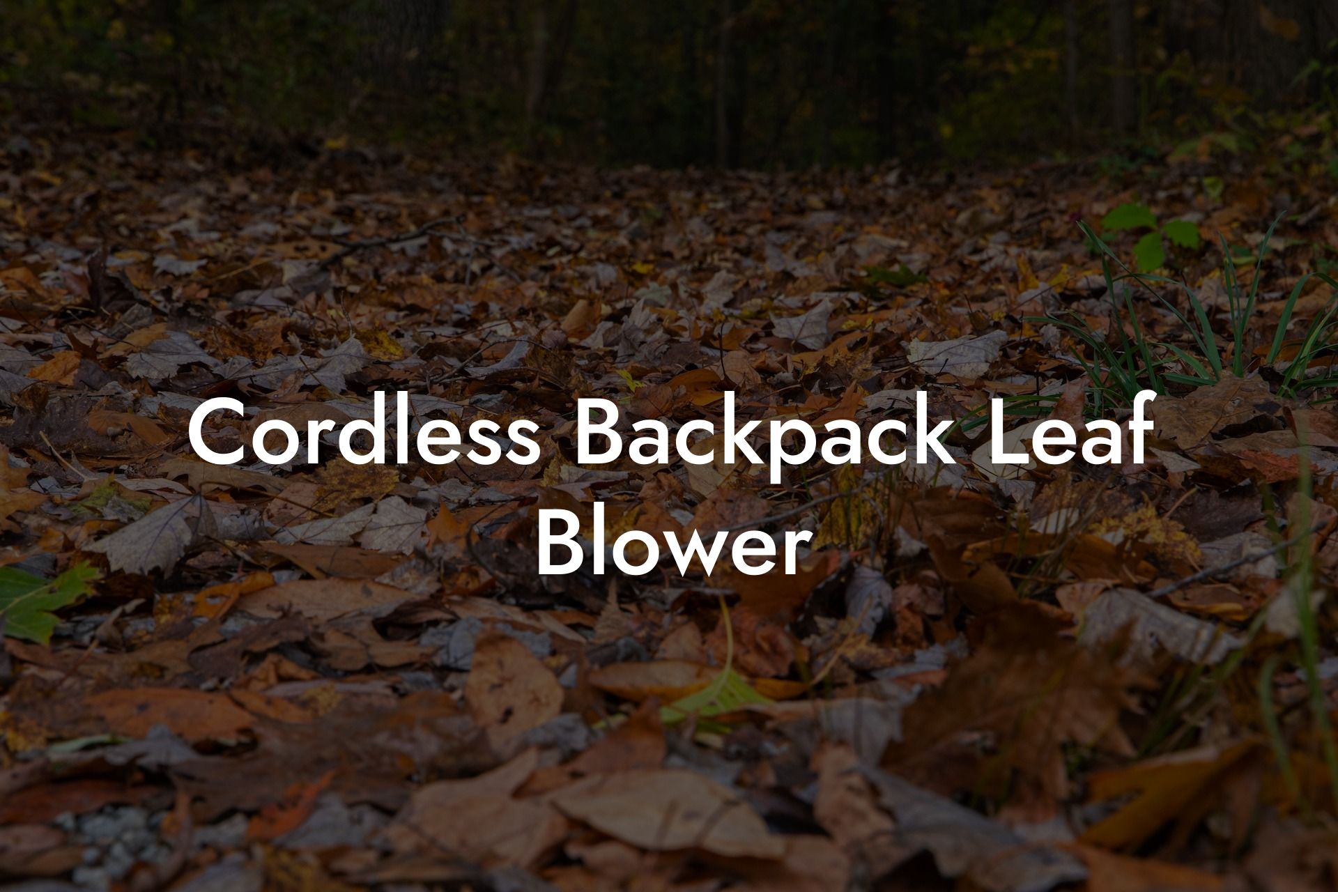 Cordless Backpack Leaf Blower