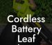 Cordless Battery Leaf Blower