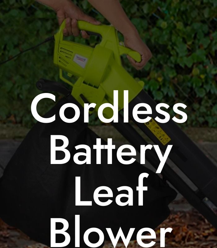 Cordless Battery Leaf Blower