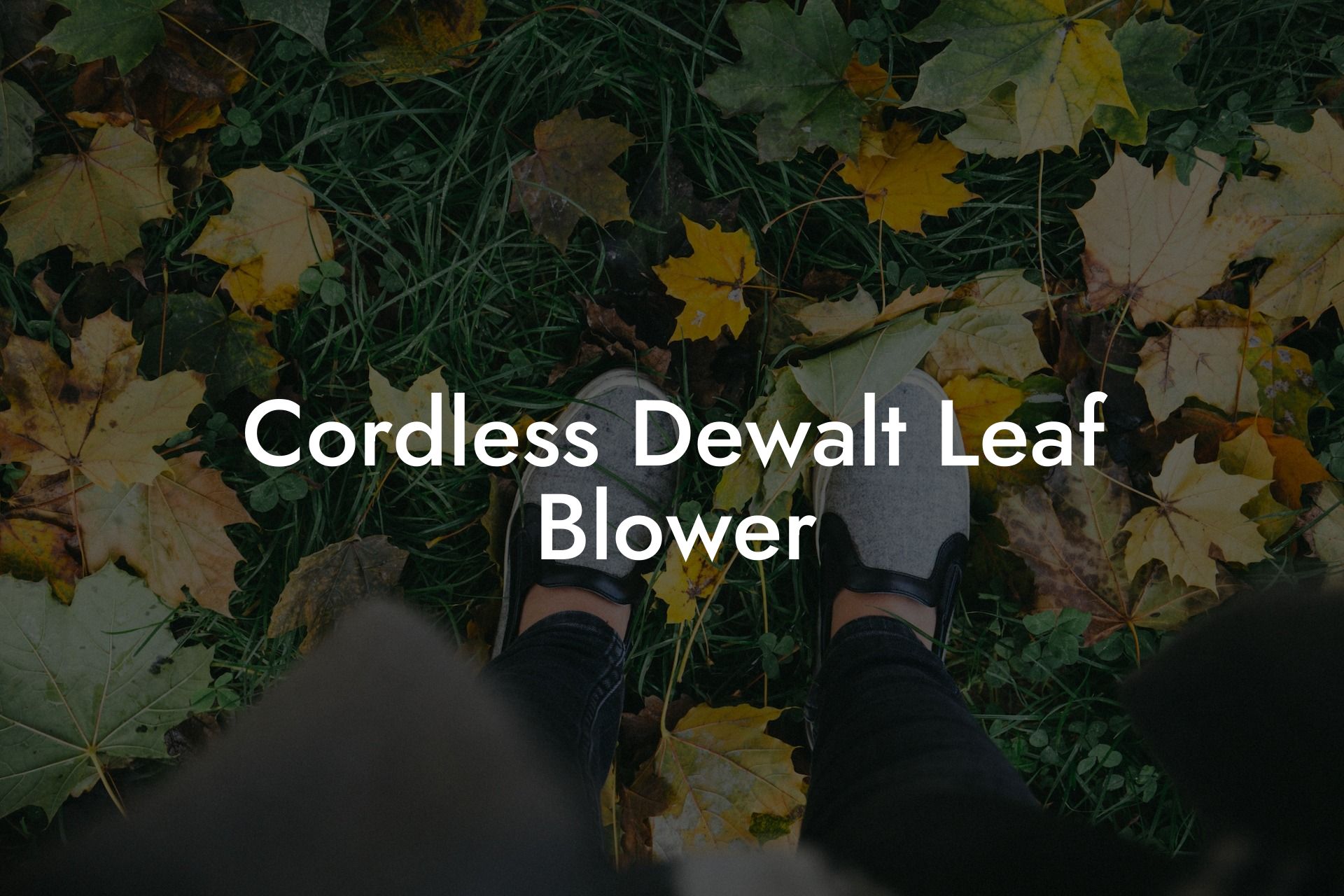 Cordless Dewalt Leaf Blower