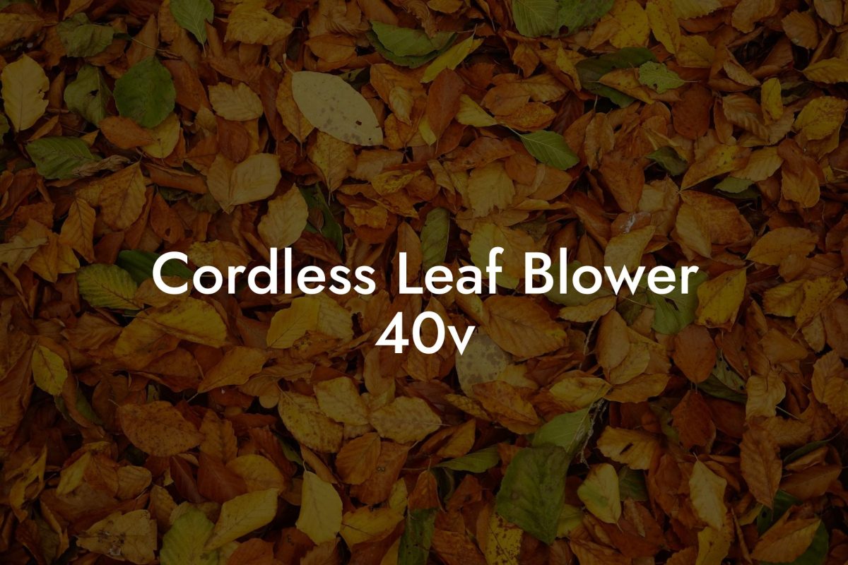 Cordless Leaf Blower 40v