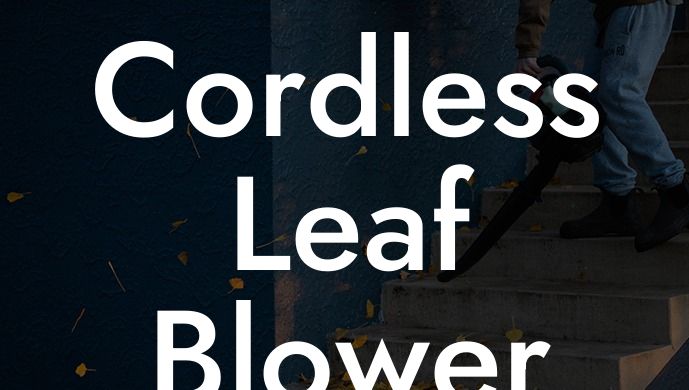 Cordless Leaf Blower and Vacuum