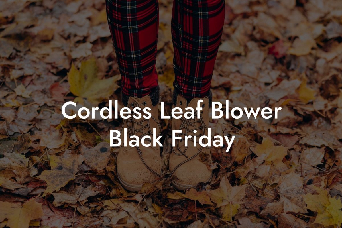 Cordless Leaf Blower Black Friday