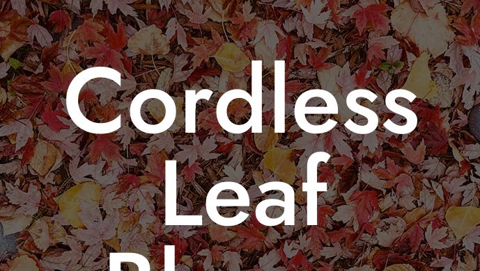 Cordless Leaf Blower Lowes