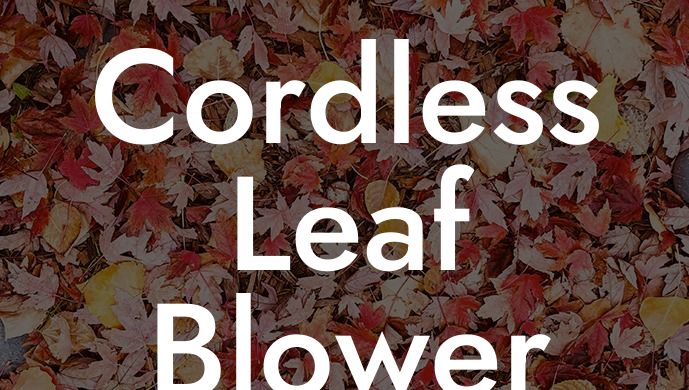 Cordless Leaf Blower Near Me