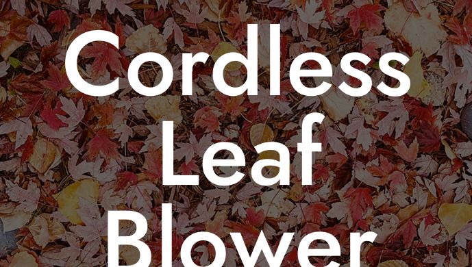 Cordless Leaf Blower on Sale