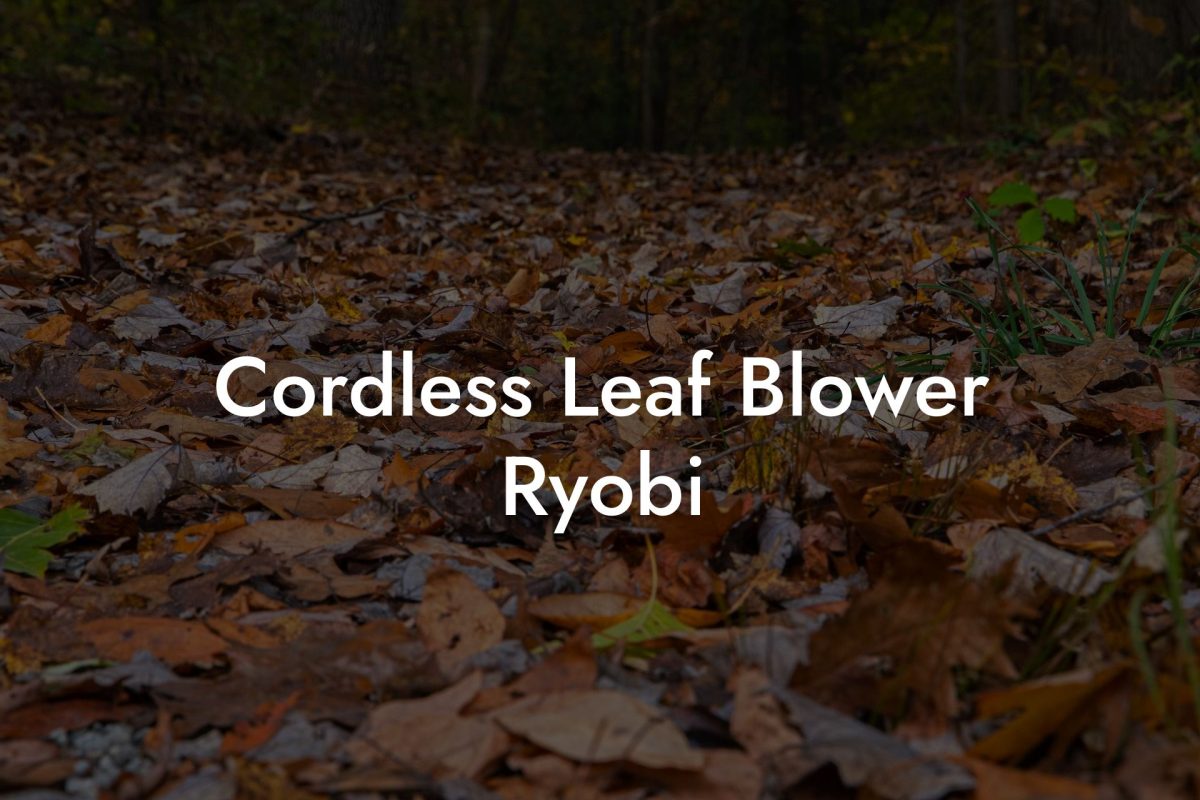 Cordless Leaf Blower Ryobi