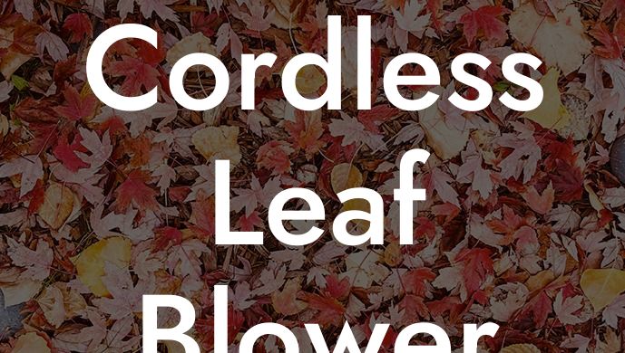 Cordless Leaf Blower Under $100