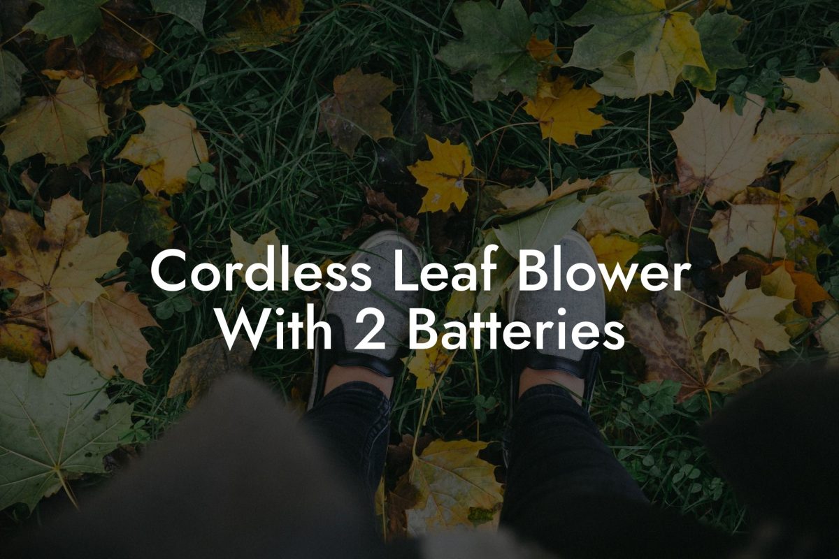 Cordless Leaf Blower With 2 Batteries