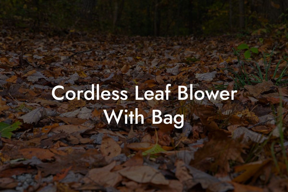 Cordless Leaf Blower With Bag