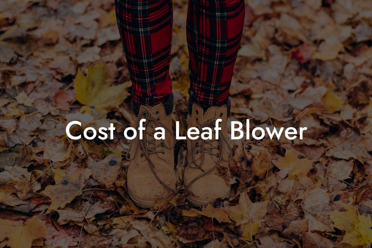 Cost of a Leaf Blower