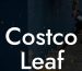 Costco Leaf Blower