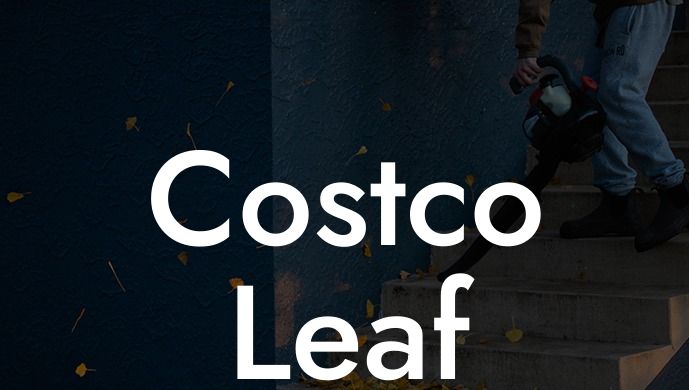 Costco Leaf Blower