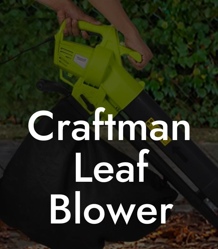 Craftman Leaf Blower