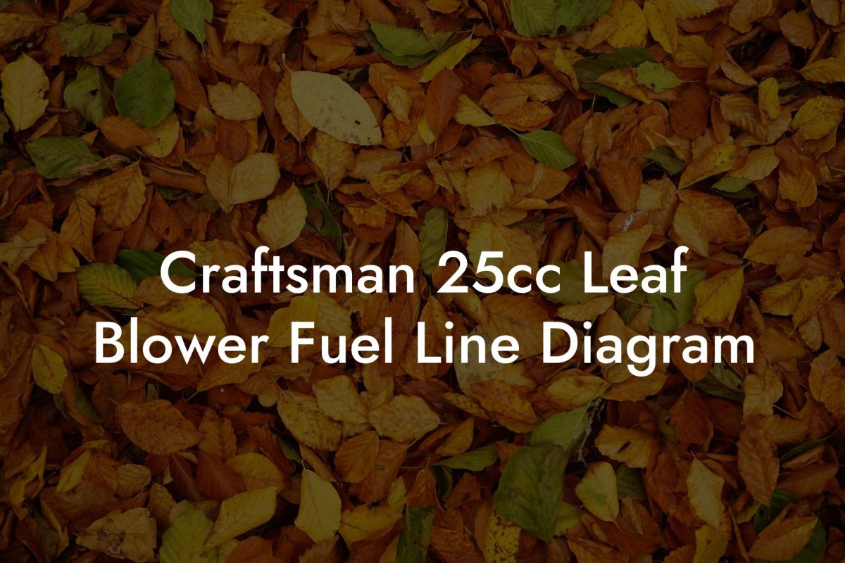 Craftsman 25cc Leaf Blower Fuel Line Diagram