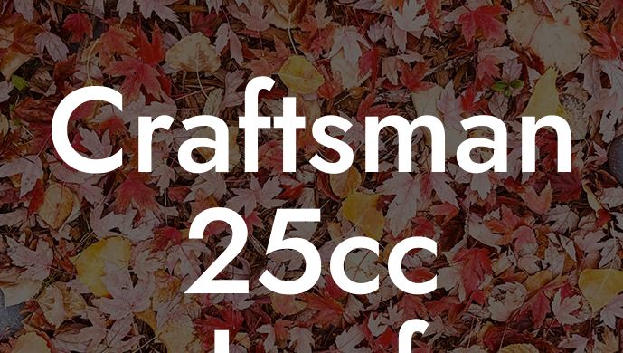 Craftsman 25cc Leaf Blower