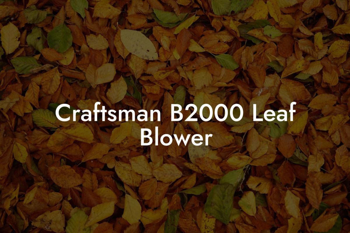 Craftsman B2000 Leaf Blower