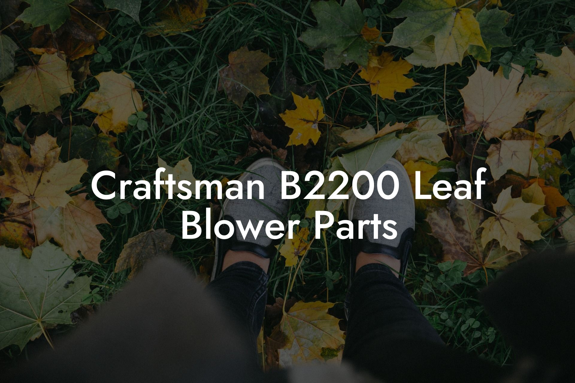 Craftsman B2200 Leaf Blower Parts