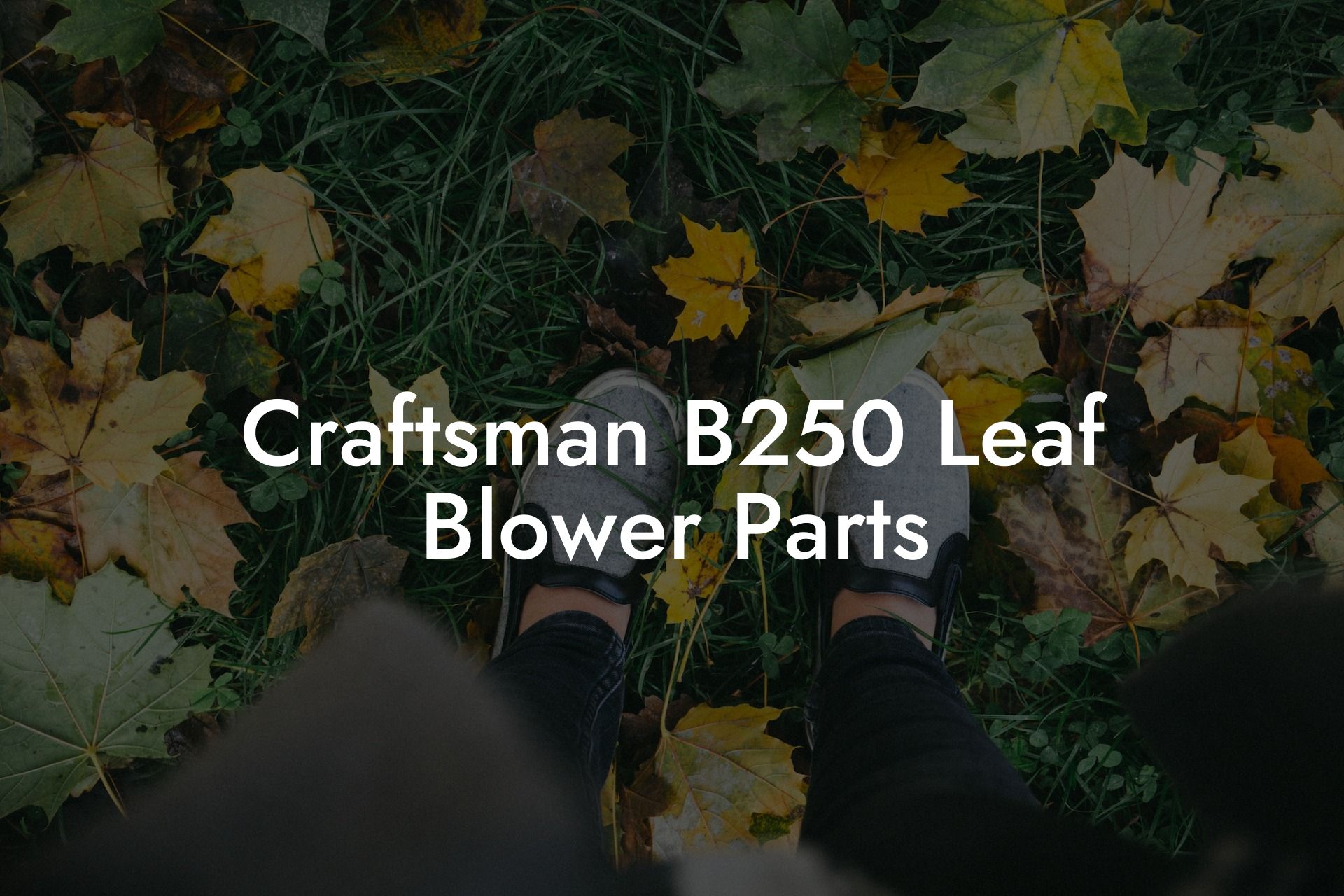 Craftsman B250 Leaf Blower Parts