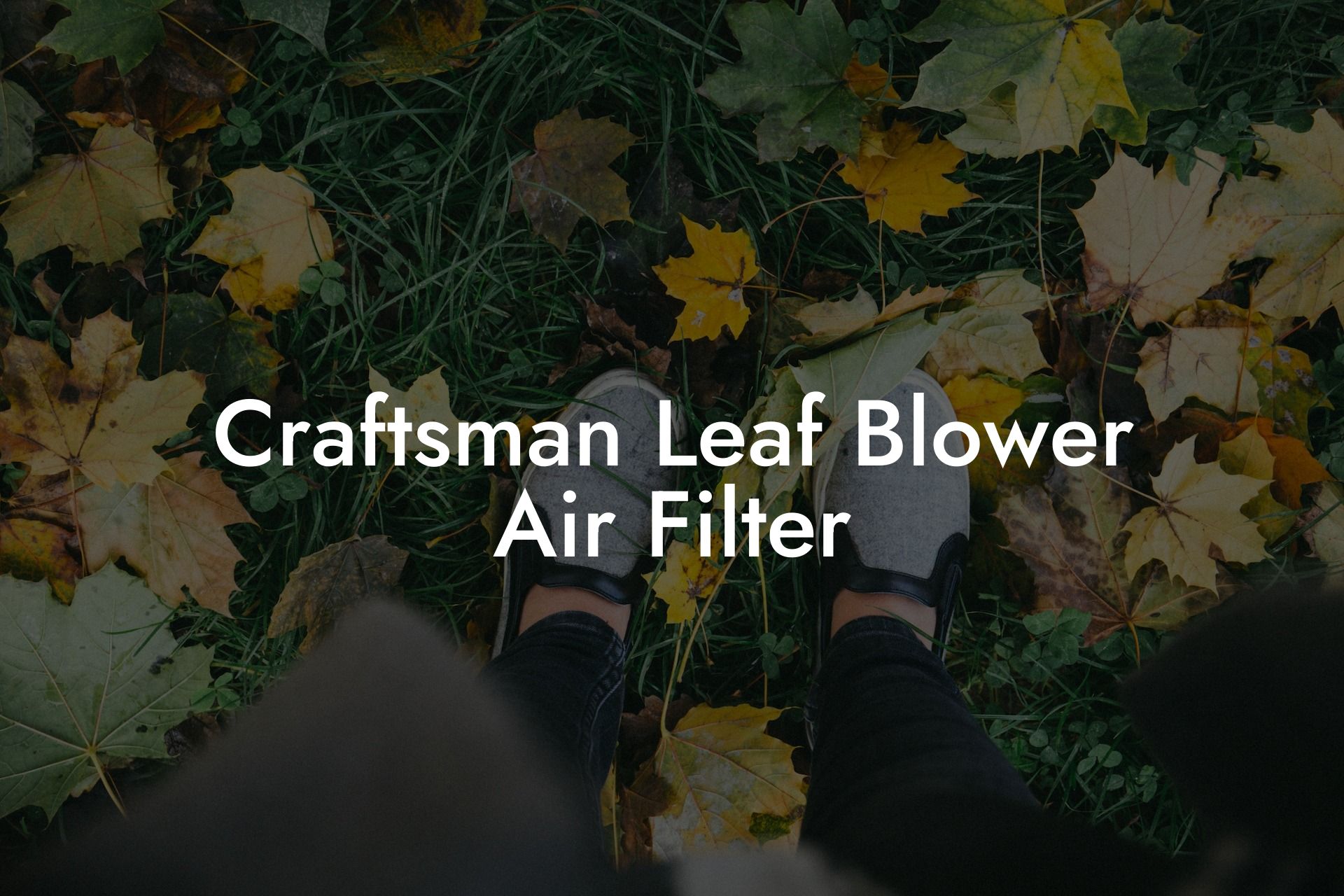 Craftsman Leaf Blower Air Filter