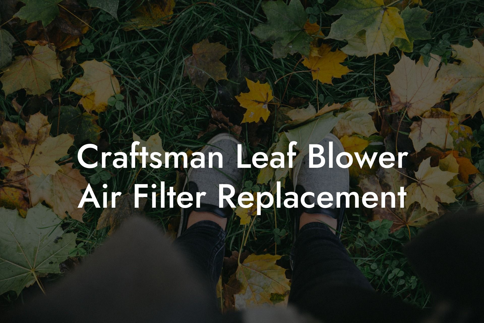 Craftsman Leaf Blower Air Filter Replacement