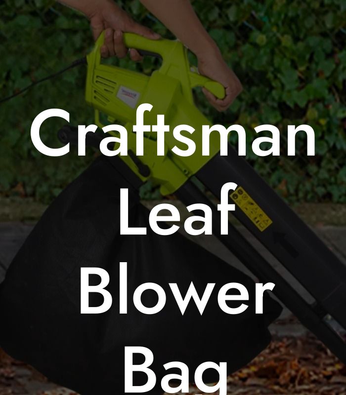 Craftsman Leaf Blower Bag Replacement