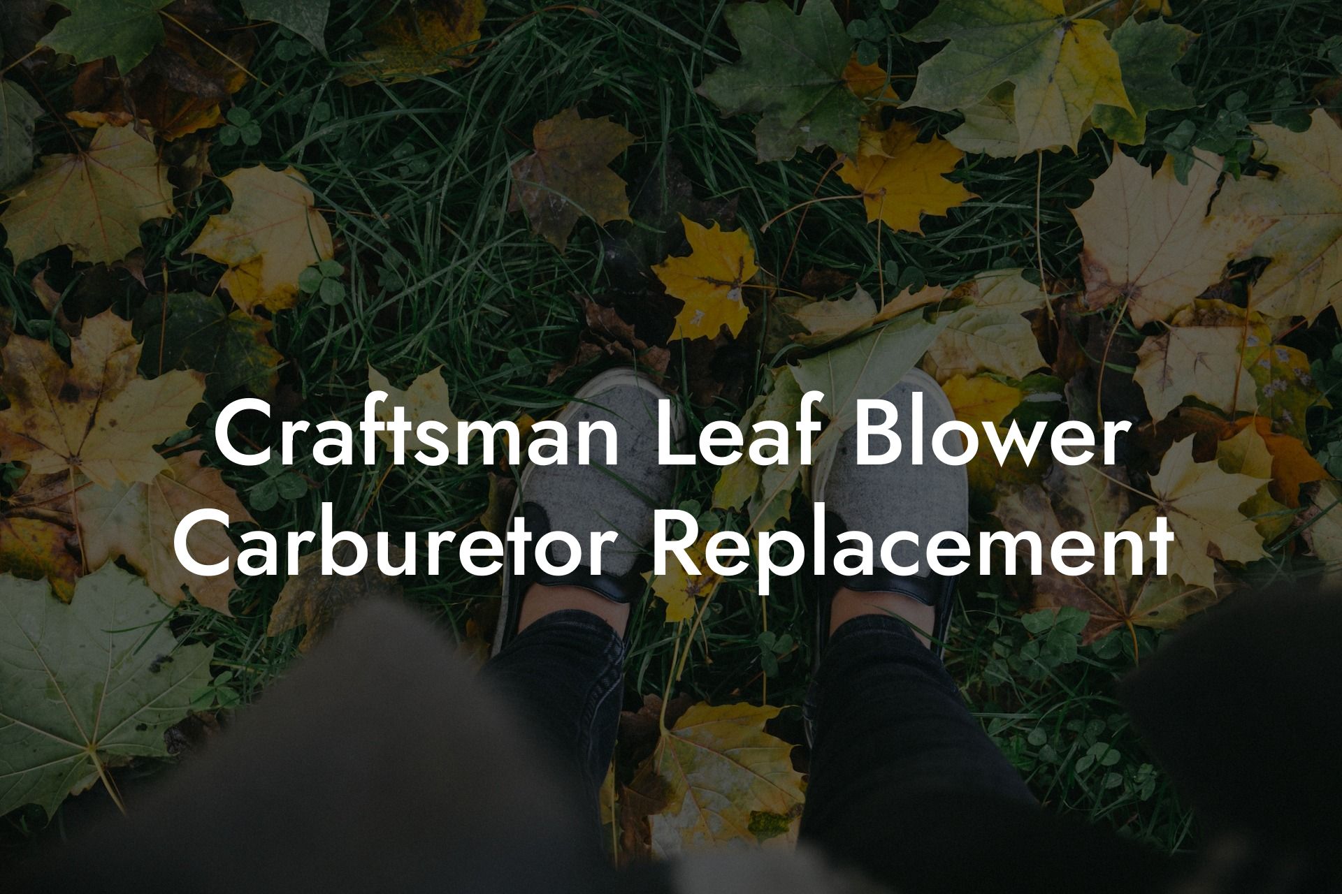 Craftsman Leaf Blower Carburetor Replacement