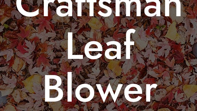 Craftsman Leaf Blower Fuel Line Diagram