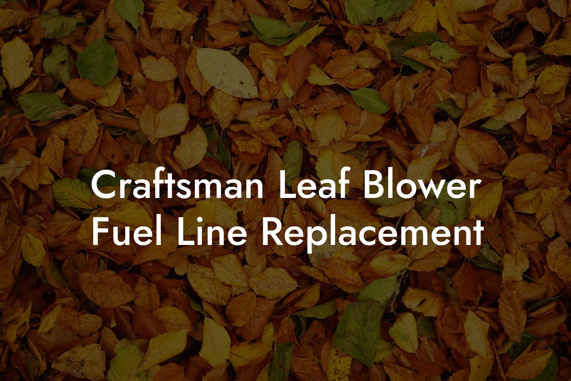 Craftsman Leaf Blower Fuel Line Replacement