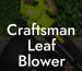 Craftsman Leaf Blower Gas