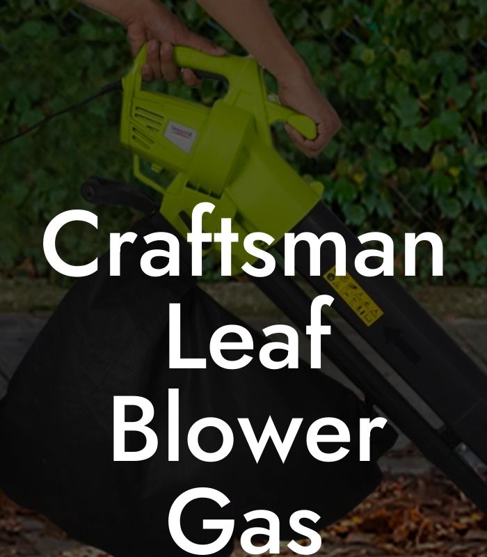 Craftsman Leaf Blower Gas