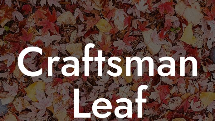 Craftsman Leaf Blower