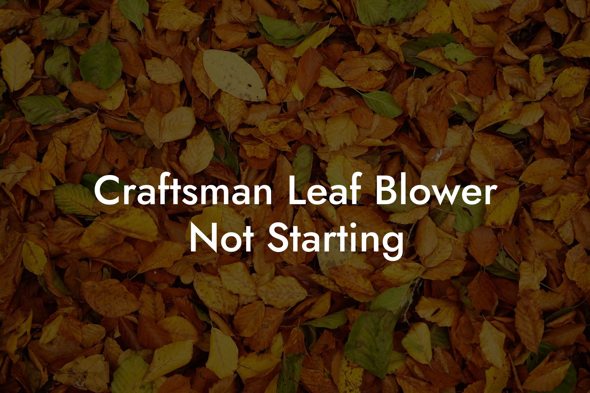 Craftsman Leaf Blower Not Starting