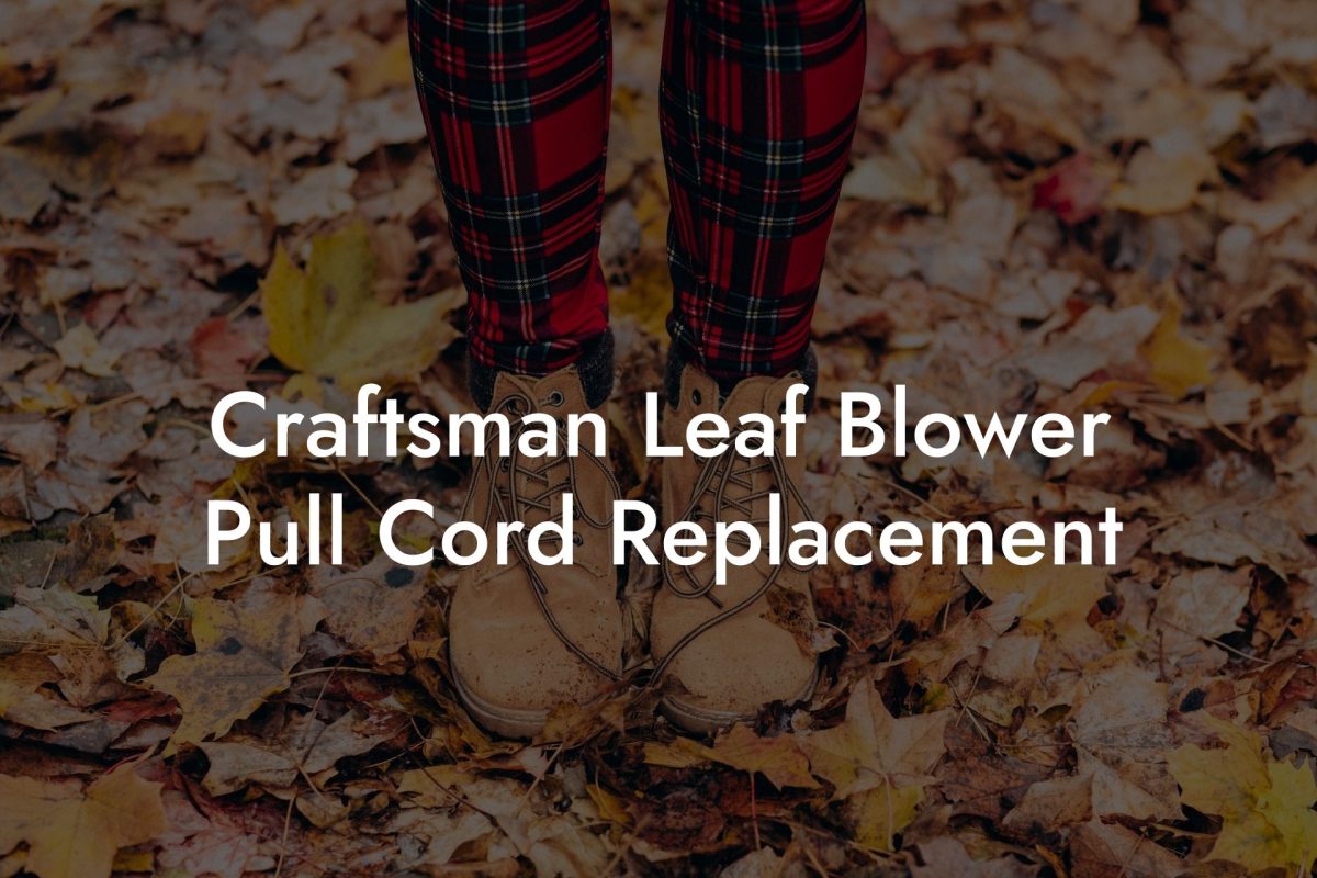 Craftsman Leaf Blower Pull Cord Replacement