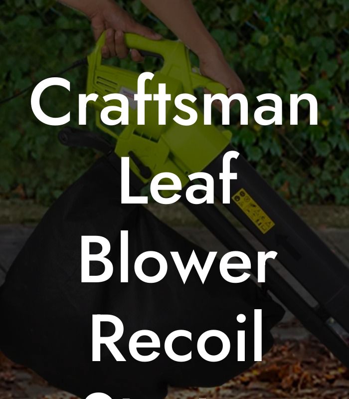 Craftsman Leaf Blower Recoil Starter Assembly