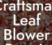 Craftsman Leaf Blower Repair Near Me