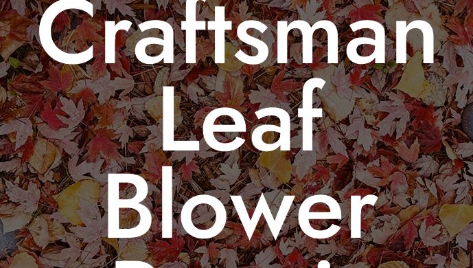 Craftsman Leaf Blower Repair Near Me