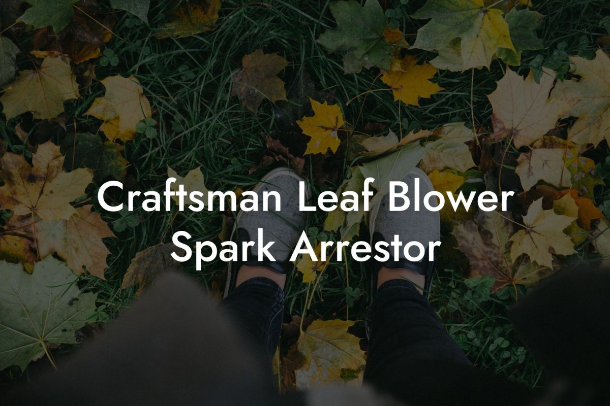 Craftsman Leaf Blower Spark Arrestor