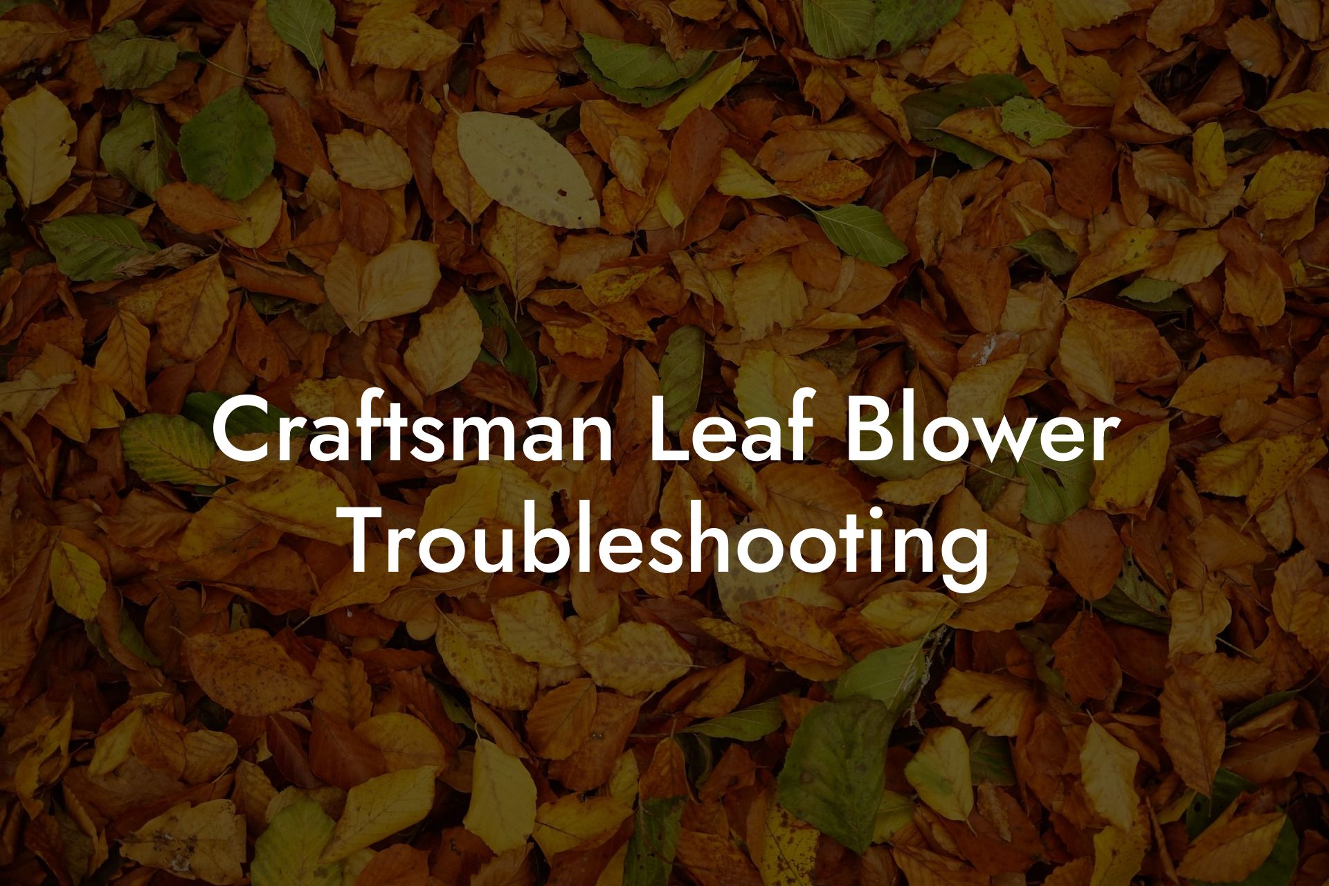 Craftsman Leaf Blower Troubleshooting