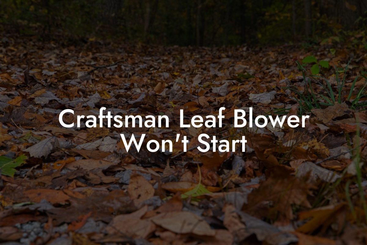 Craftsman Leaf Blower Won't Start