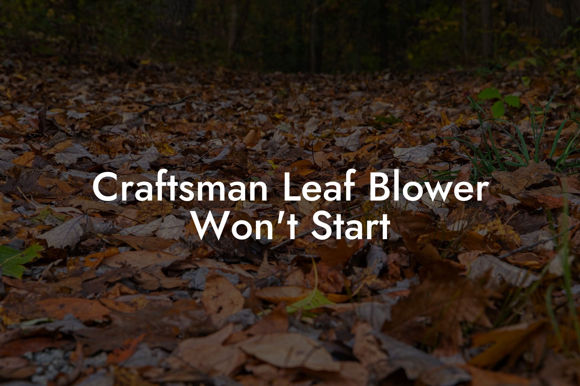 Craftsman Leaf Blower Won't Start